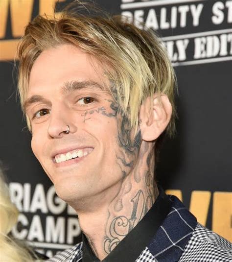 aaron carter cast|aaron carter biography.